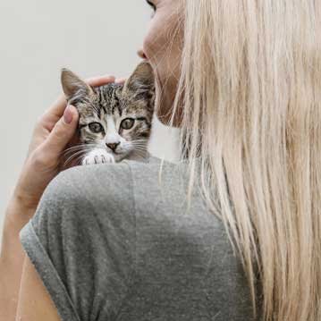 Atención funeraria y tanatorio en España